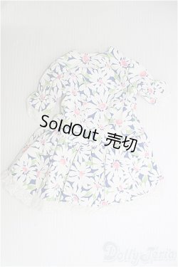 画像1: SD/半袖ドレスセット/ I-25-10-05-319-TN-ZI