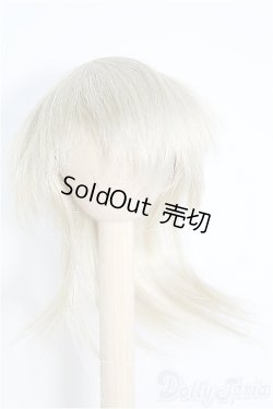 画像1: 7~8inch/ウィッグ I-25-02-09-3014-TN-ZI