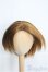 画像1: 9〜10inch/ウィッグ I-25-02-23-2026-TN-ZI (1)
