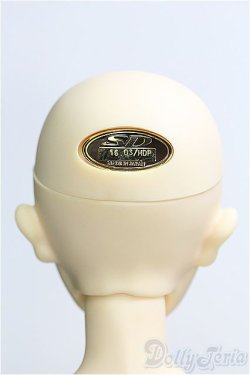 画像5: SDBOY/リゲル 星間学寮ver./ I-25-08-17-301-TO-ZI