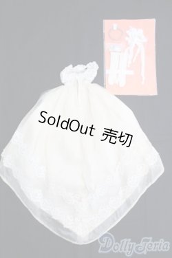 画像2: タミーちゃん/OF：衣装 I-25-06-22-2106-TO-ZI