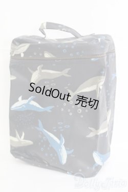 画像1: 20cmドール/キャリーバッグ I-25-06-22-2060-TN-ZI