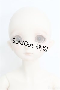 【SALE】SDMBOY/コーディネートモデル：F-48番ヘッド I-24-09-08-1004-TO-ZI