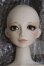 画像1: 【SALE】VISUADOLL/藤井亮：Silver Butterfly様ワンオフドール I-24-09-15-1006-TO-ZI (1)