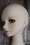 画像2: 【SALE】VISUADOLL/藤井亮：Silver Butterfly様ワンオフドール I-24-09-15-1006-TO-ZI (2)