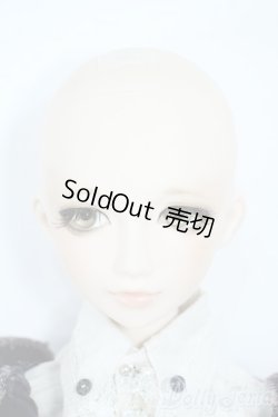 画像4: VISUADOLL/藤井亮：Silver Butterfly様ワンオフドール Y-25-10-29-082-TO-ZY