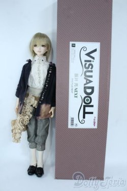 画像7: VISUADOLL/藤井亮:Silver Butterfly様ワンオフドール Y-25-10-29-082-TO-ZY