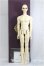 画像4: BJD CROBI/Gordon Limited I-25-03-16-1003-TO-ZI (4)