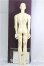 画像5: BJD CROBI/Gordon Limited I-25-03-16-1003-TO-ZI (5)