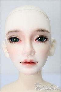 switch/SEOJINヘッド A-24-06-19-299-TN-ZA