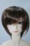 画像1: SDGｒBOY/F-71：オーダーメイク U-24-01-31-218-TN-ZU (1)