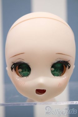 画像1: 【新宿マルイアネックス店 店頭販売商品】DD/DDH-27カスタムヘッド　2100000001077434-ZM