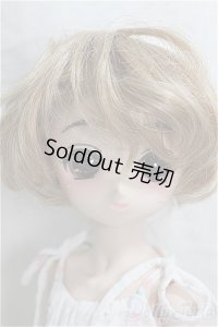 DD/DDH-01＆MDDボディ A-24-06-12-301-NY-ZA