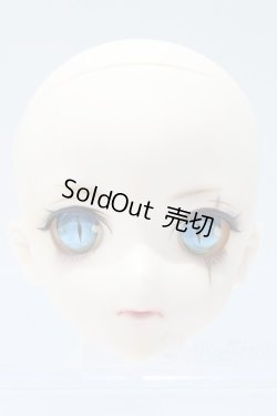 画像1: DD/DDH-09カスタムヘッド S-26-03-15-326-KN-ZS