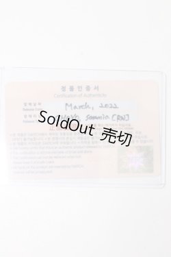 画像6: SWITCH/CHOYO somnia カスタムメイクヘッド S-23-10-25-333-KD-ZS