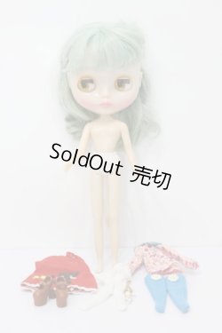 画像5: ネオブライス/ミスサリーライス本体 S-23-11-15-240-KD-ZS