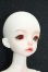 画像2: dollzone/NEIL S-24-10-06-266-TN-ZS (2)