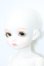 画像2: ROSEN LIED/Holiday's child Limited Basic Mignon S-24-08-04-289-TN-ZS (2)