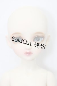 bunny bunny／Maple C Doll／35cm ノーマルスキン S-24-02-11-269-NY-ZS