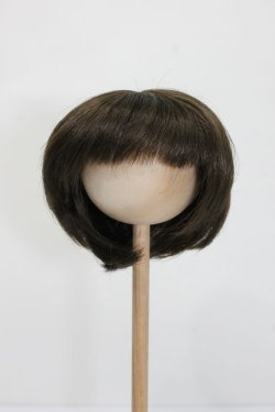 画像1: ウィッグ/9-10inch S-25-03-04-329-GN-ZS