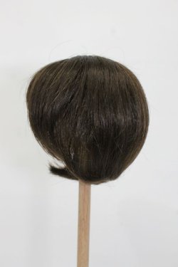 画像2: ウィッグ/9-10inch S-25-03-04-329-GN-ZS