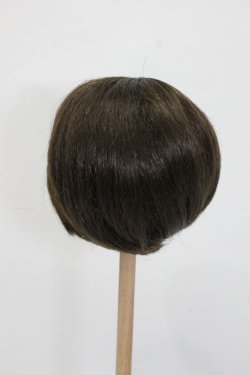 画像3: ウィッグ/9-10inch S-25-03-04-329-GN-ZS