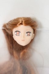 1/6ドール/カスタムヘアーヘッドのみ S-25-07-06-828-YB-ZS