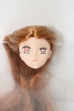 画像1: 1/6ドール/カスタムヘアーヘッドのみ S-23-11-15-421-YB-ZS