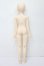 画像7: dearbelle/blanche S-23-10-25-360-NY-ZS
