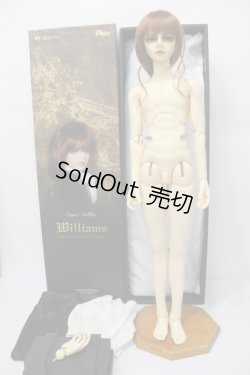 画像3: SD17BOY/ウィリアムズ-the Darkness of Ensign- S-24-06-16-248-YB-ZS