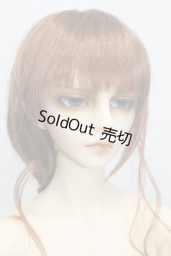 画像4: SD17BOY/ウィリアムズ-the Darkness of Ensign- S-24-06-16-248-YB-ZS