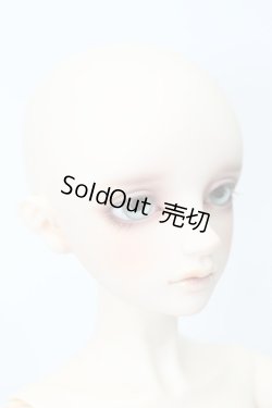 画像4: SDBOY/リゲル 星間学寮Ver.(ドルパ47版) S-23-11-01-009-GN-ZS