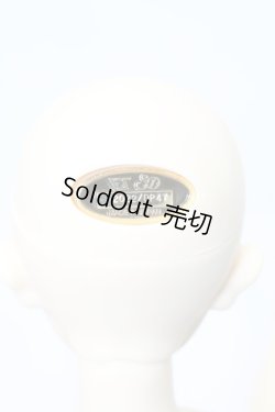 画像7: SDBOY/リゲル 星間学寮Ver.(ドルパ47版) S-23-11-01-009-GN-ZS