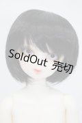 MSDGIRL/F-22：本体のみ S-23-11-01-046-GN-ZS