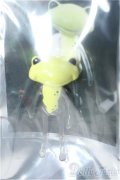 ワンダーフロッグ/フォーチュンワンダ：リムピッドダブル(Limpid W) Y-25-02-05-088-TN-ZY