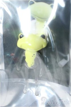 画像1: ワンダーフロッグ/フォーチュンワンダ：リムピッドダブル(Limpid W) Y-25-02-05-088-TN-ZY