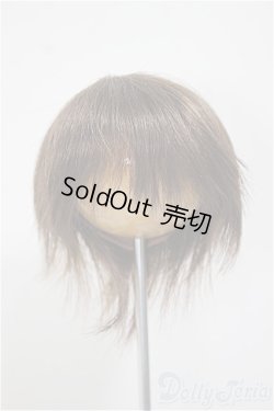 画像1: 7〜8inchウィッグ/ショート/インチ　BJD　MJD　ドール用 A-25-08-13-374-YB-ZA