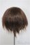 画像2: 7〜8inchウィッグ/ショート/インチ　BJD　MJD　ドール用 A-25-08-13-374-YB-ZA (2)