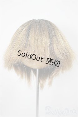 画像1: 9〜10inchウィッグ/グラデーションショート(ボークス製)/インチ　BJD　MJD　ドール用 A-25-08-20-177-YB-ZA