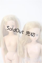 ジェニー/本体 2体セット Y-25-03-05-001-YB-ZY