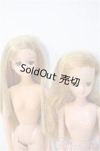 ジェニー/本体 2体セット Y-25-03-05-001-YB-ZY