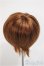 画像2: 8〜9inchウィッグ/ショートボブ/インチ　BJD　MJD　ドール用 A-25-08-13-366-YB-ZA (2)