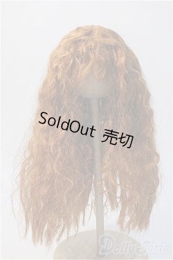 画像1: 9〜10inchウィッグ/ウェーブロング Y-25-02-19-216-YB-ZY