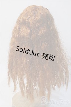 画像2: 9〜10inchウィッグ/ウェーブロング Y-25-02-19-216-YB-ZY
