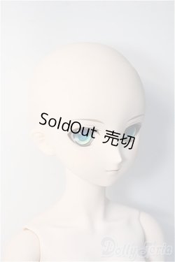 画像3: DDS/セイバー アルトリア ペンドラゴン Fate/Grand Order Y-24-12-18-337-YB-ZY