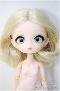 Harmonia bloom/パンジー Pansy Y-24-12-25-299-YB-ZY