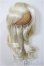 画像1: 9inch/ウィッグ/インチ　BJD　MJD　ドール用 A-25-08-20-170-YB-ZA (1)