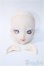 画像1: DD/DDH-09:カスタムヘッド(エルフ耳)/BJD　球体関節人形 A-25-03-12-407-YB-ZA (1)