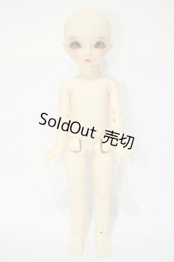 画像8: 幼SD/まこ Y-23-10-18-002-YB-ZY