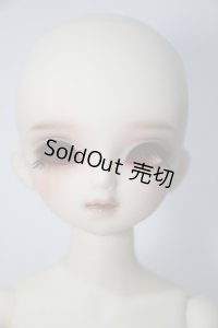 MSD/F-18:本体 Y-24-01-10-001-YB-ZY